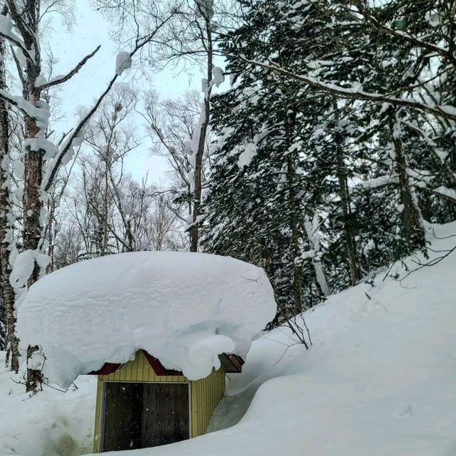 해외여행 일본 홋카이도 비에이 설산 하이킹