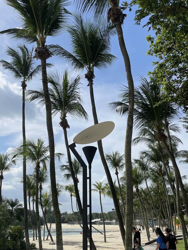 모든게 완벽했던 싱가포르 자유여행  ﾟ₊ 🏄🏻‍♀️ ♡