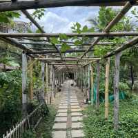 ดิ โอโซน ร้านอาหารสไตล์บ้านสวน ที่บางกระเจ้า