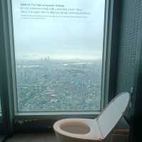 高處看韓國 N Seoul Tower