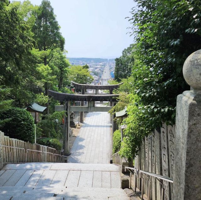 🎋 후쿠오카 무나카타의 바다 풍경이 보이는 무나카타타이샤!