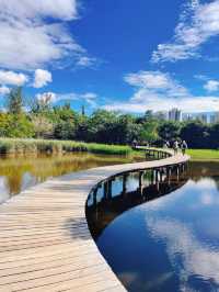 香港的世外桃源｜濕地公園真的很美！