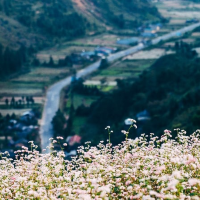 Hoàng Su Phì,  Hà Giang