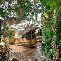 คาเฟ่ฟีลป่าในภูเก็ต