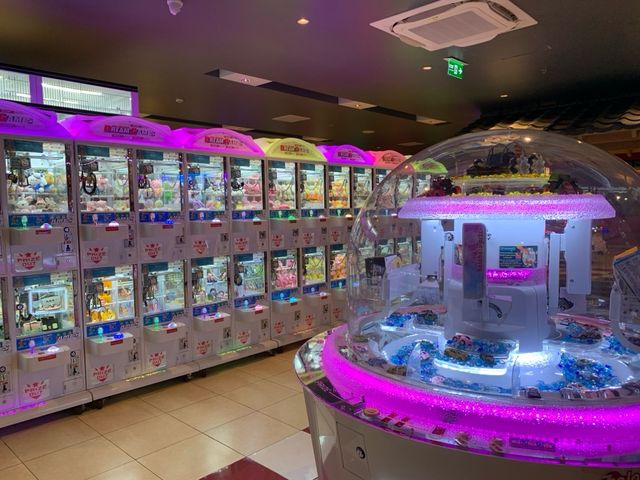 Recreational Activities in Da Nang Mikazuki