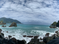 藍寶石海秘境粉鳥林