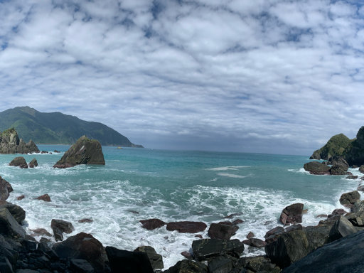 藍寶石海秘境粉鳥林