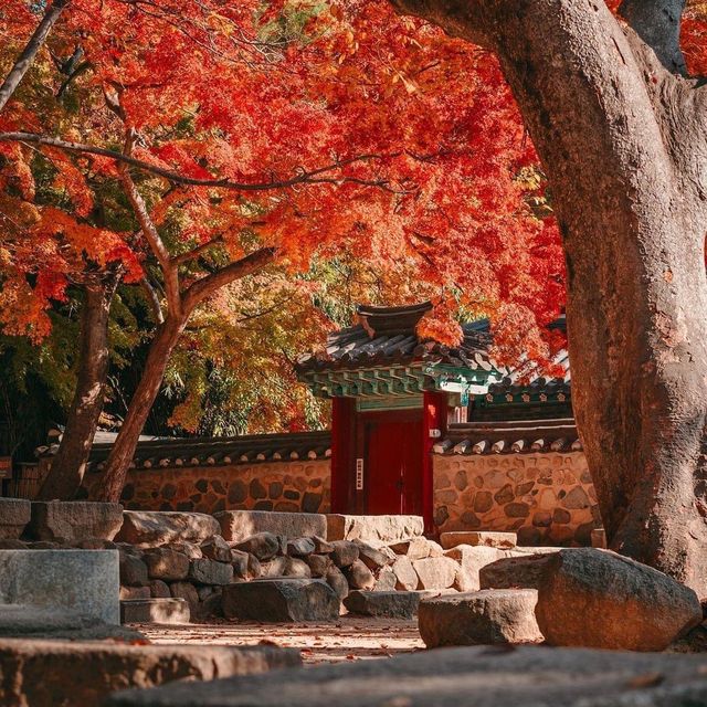 Beautiful autumn view of Bulguksa Temple
