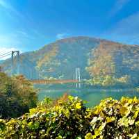 夢のかけ橋