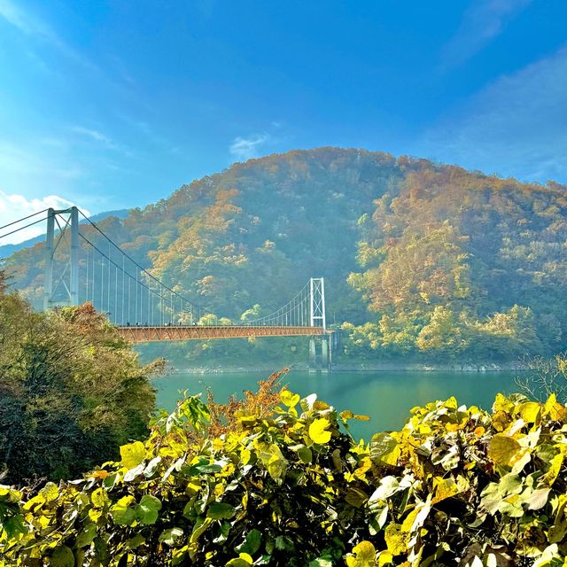 夢のかけ橋