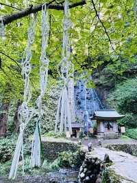【山形県/出羽三山神社】2023年トライしてみてよかった！石段詣