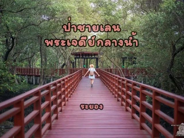 สะพานป่าชายเลน ระยอง