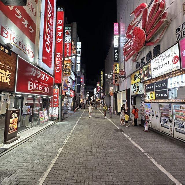 Kabukicho - Night in Tokyo 