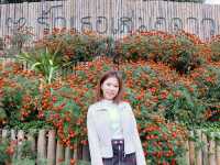รวมพิกัดเที่ยวน่าน 