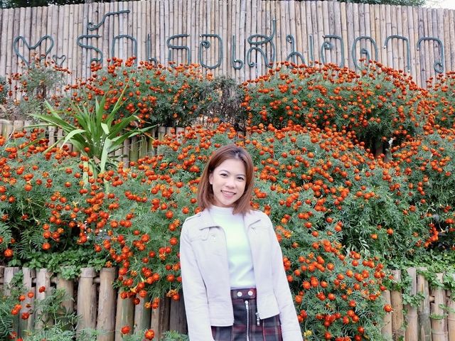 รวมพิกัดเที่ยวน่าน 