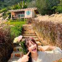 คนหลังเขา โฮมสเตย์ ขุนเขา เรื่องเล่า ตำนาน