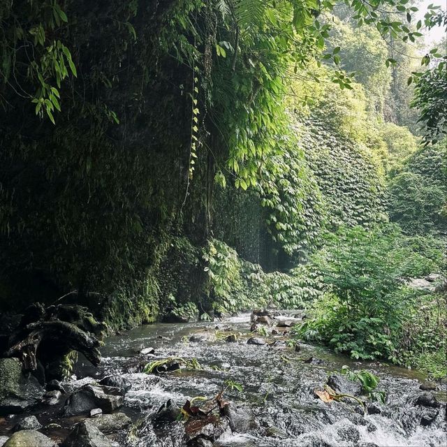 Sekumpul Waterfall