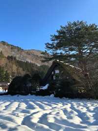 【日本/岐阜】世界遺産！冬の白川郷🏠