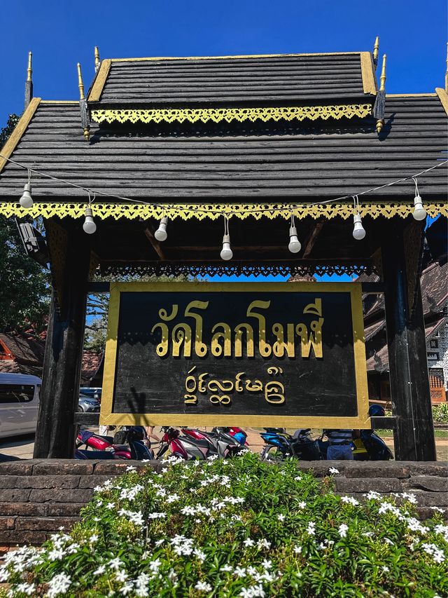 ขอพรความรัก การเงิน การเงิน ที่วัดโลกโมฬี เชียงใหม่