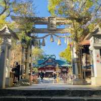 多摩川が一望できる絶景 - 多摩川浅間神社 -