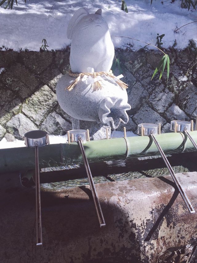 🇯🇵日本鳥取白兔神社🐰👣來到鳥取必去的可愛神社⛩️