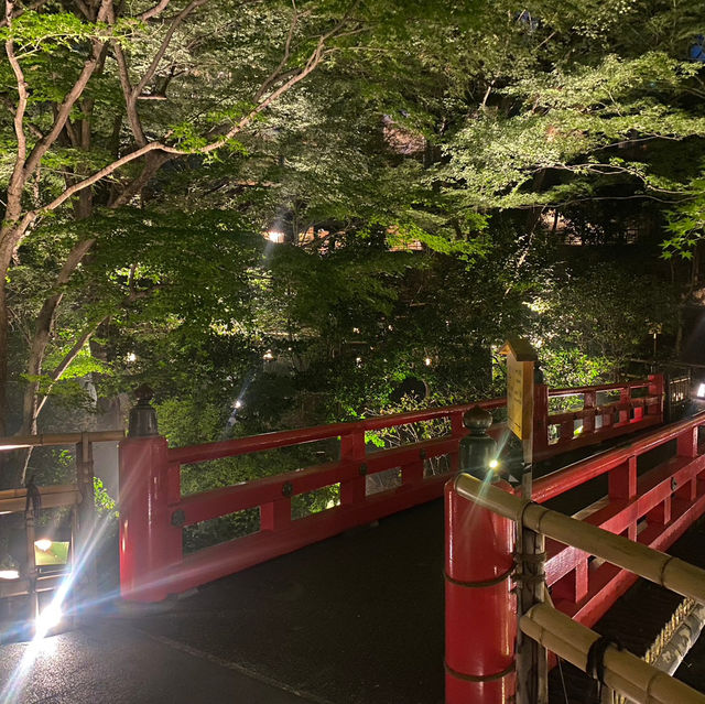 ［東京］煌めく雲海☁️