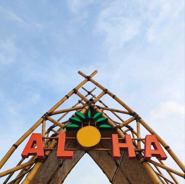 Beach Vibe of Aloha