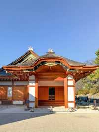 日本好去處｜拜訪三大名城之一「名古屋城」