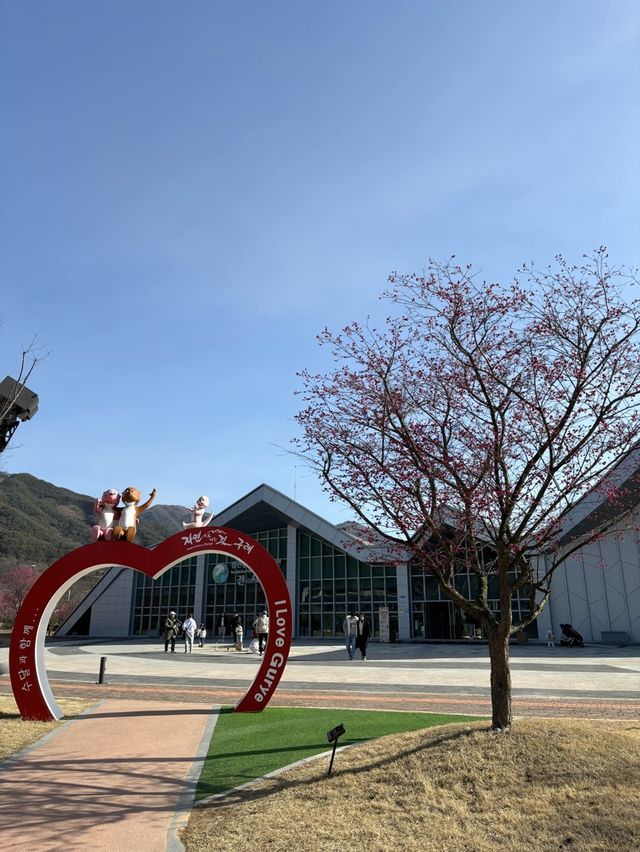 봄냄새가 가득한 구례 산수유마을에서 꽃구경🌷