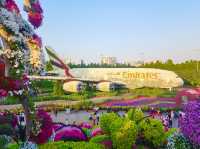 Dubai Miracle Garden 