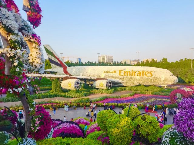 Dubai Miracle Garden 