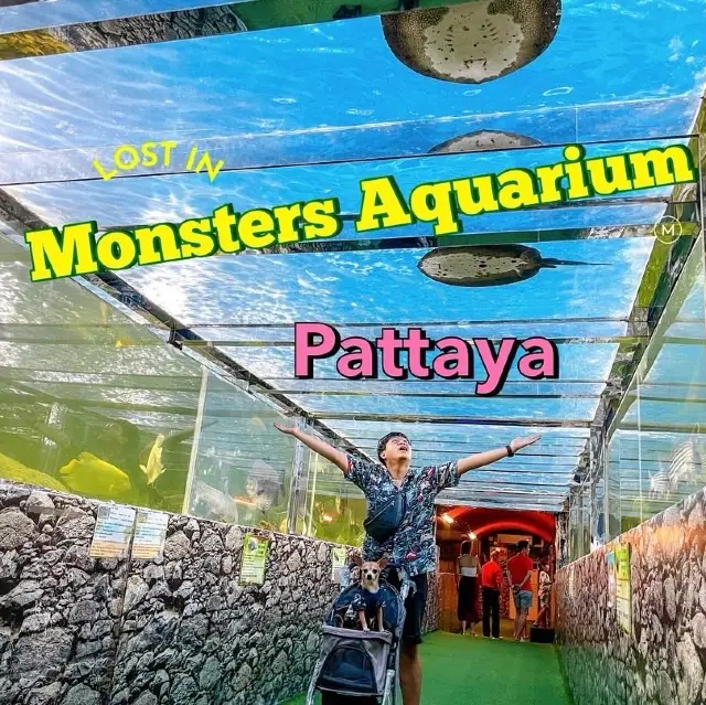 Monsters Aquarium Pattaya