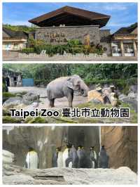 【臺北景點】臺北市立動物園：豐富多樣的動物種類，適合家庭遊玩