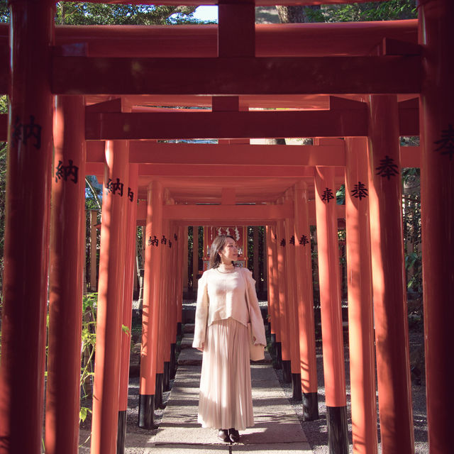 【熱海】春先取り🌸東京から2時間で行ける癒しスポット🌿