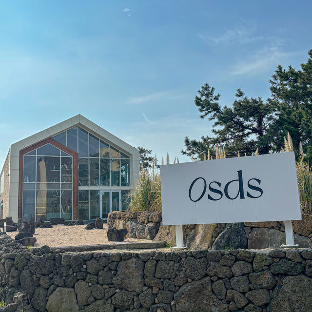 협재 카페 osds