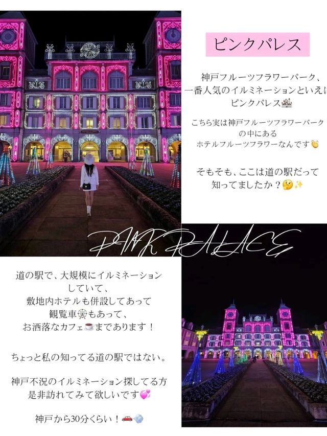 【兵庫県/行かないと後悔する】お城🏰巡り。キラキラ✨💍✨な世界。