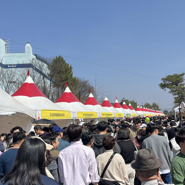 2024 논산 딸기축제 생생후기