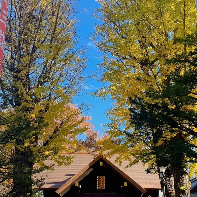 【札幌】推薦美食&景點