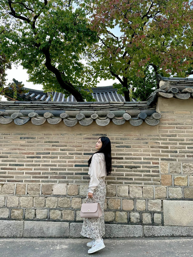 서울 세계문화유산 창덕궁🫶
