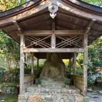 歴史ある門跡寺院⭐大原三千院⭐