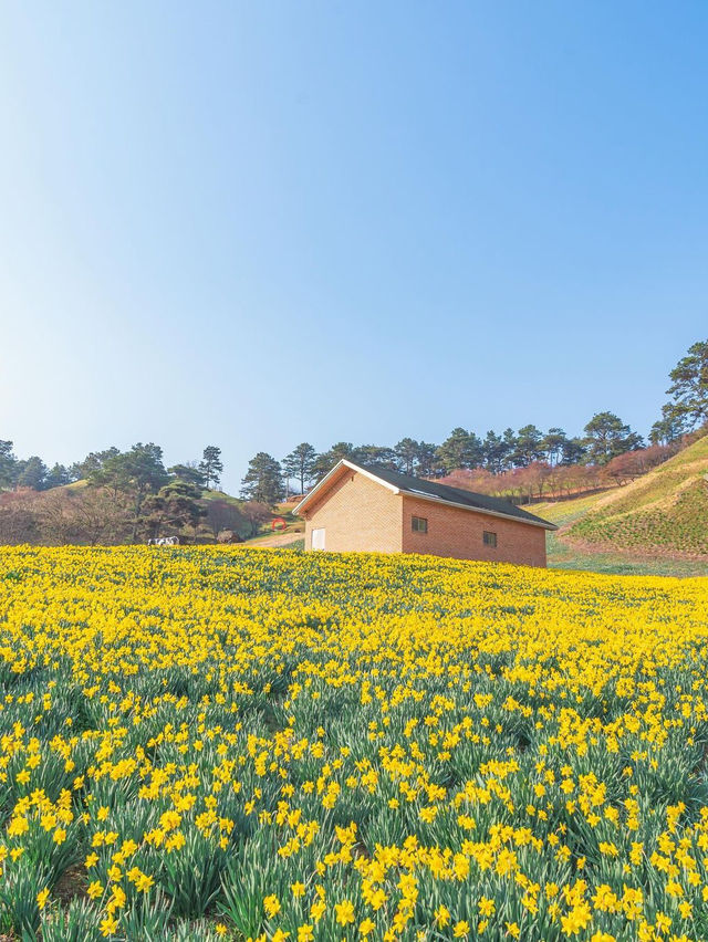 🌼 지리산치즈랜드 🌼