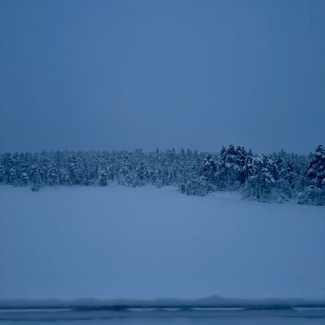 Snowmobile adventure & snow crabs feast