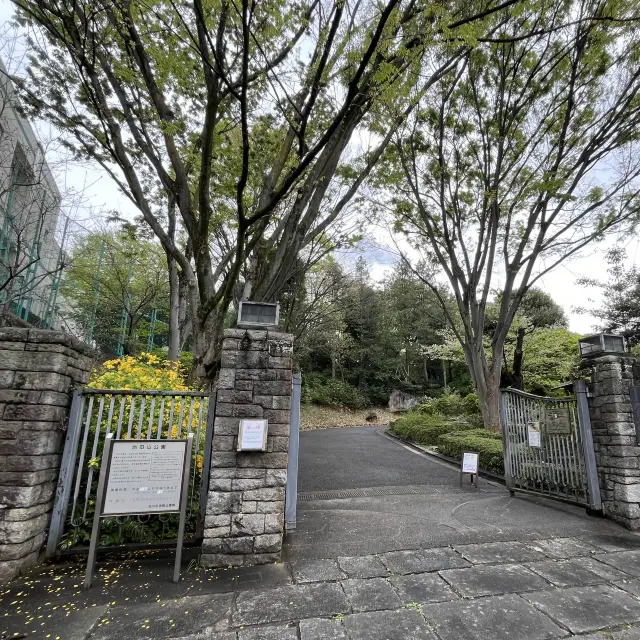 Lush Strolling Garden: Ikedayama Park in Shinagawa Ward