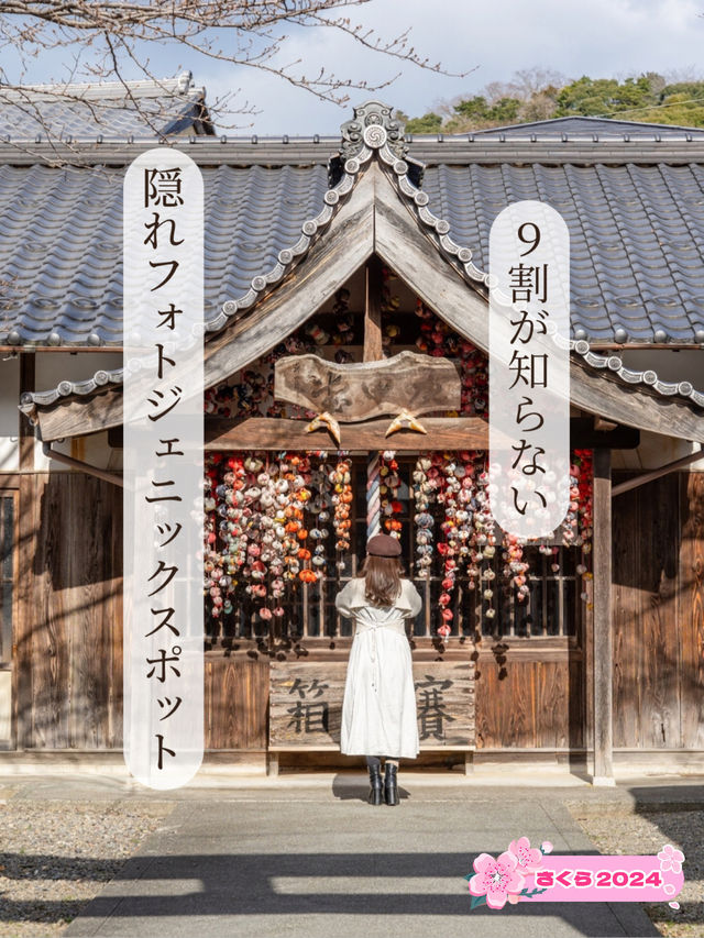 【福井県/小浜市】９割が知らない⁉︎隠れフォトジェニックなスポット