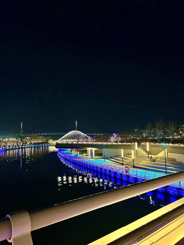 Full-scale opening last November! Busan's large-scale night view attraction, waterside park.