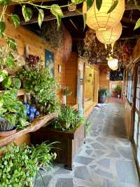 日本阿蘇 鄉村料理🍱山賊旅路