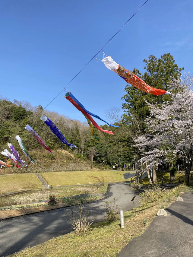 加賀観光にかかせないゆのくにの森