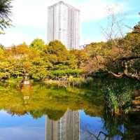 💐 So luxurious Hibiya Park 🇯🇵