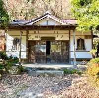 【医王山薬寿院 八王寺/埼玉県】ユーモラスな願いを叶える⁉︎寺院