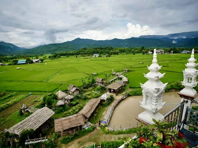 Rice Field View in Nan